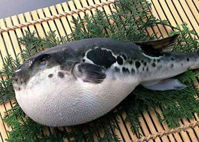 跟隨袁莉嘗遍沖繩美食