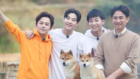 挑战不可能绝技!消防官兵无齿锯盲切钢丝而不